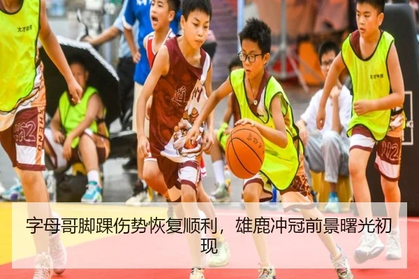 字母哥脚踝伤势恢复顺利,雄鹿冲冠前景曙光初现