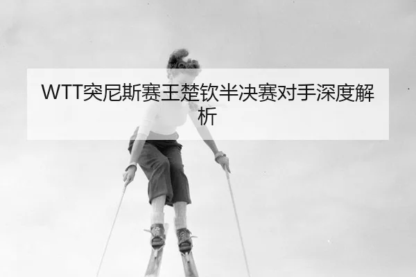 tu-ni-si-sai-wang-chu-qin-ban-jue-sai-dui-shou-shen-du-jie-xi-2-454.jpg